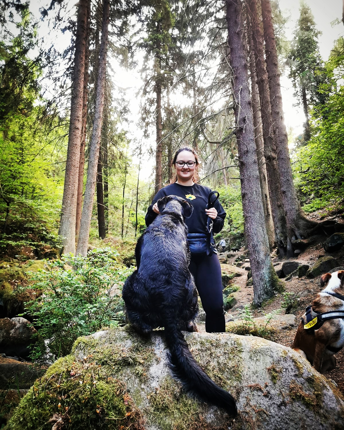 Fetch Club Dog Training Services in Rotherham, Barnsley and Doncaster