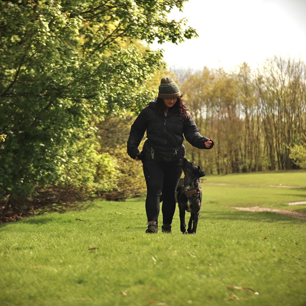 WhatsApp Image 2024-08-03 at 15.13.21_60cc977f